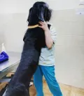 Миниатюра 9