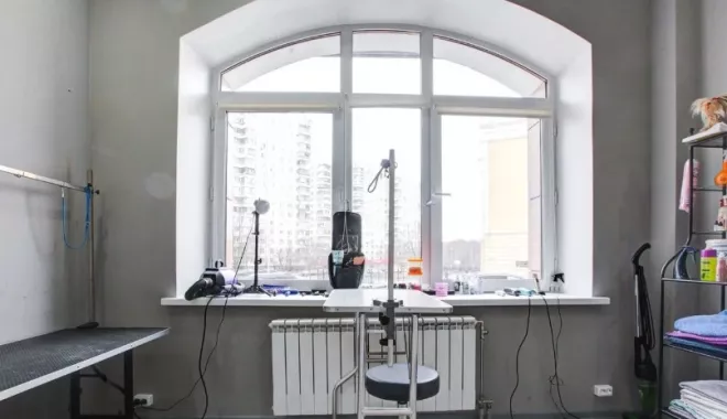 Ветеринарная клиника "Кит".