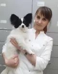 Миниатюра 10