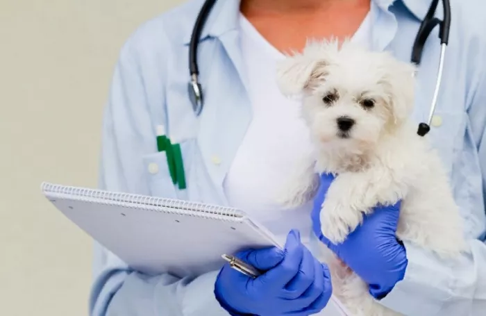 Зооцентр ЗооПланета  в  Москве