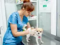 Миниатюра 10