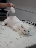 Миниатюра 7