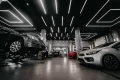 Миниатюра 4