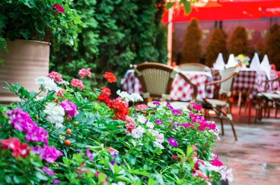 Restoran Kolarac в Белграде: Ресторан, Вкусно, Интерьер, Уют,