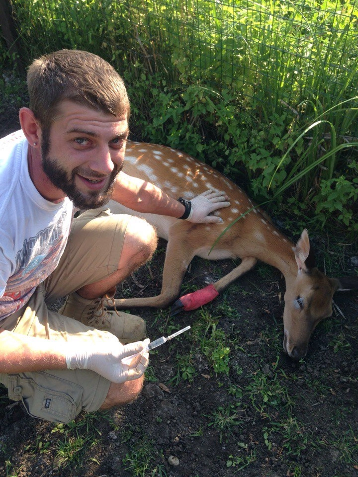 Большое фото 2