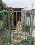 Миниатюра 4