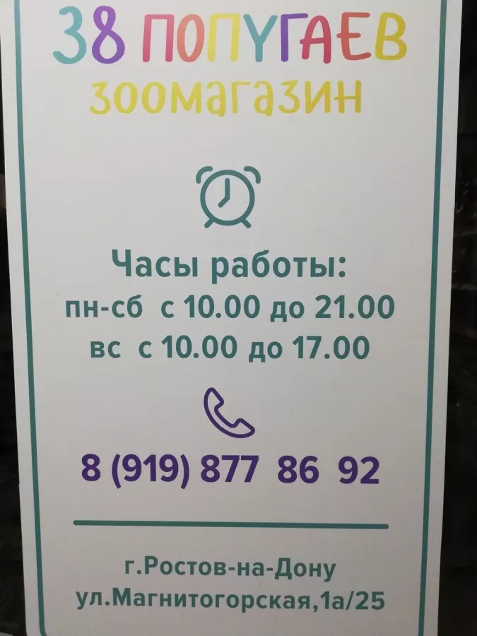 Зоомагазин 38 Попугаев в Ростове-на-Дону: Зоомагазин, Животные,