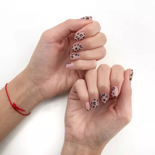 Салон красоты True Mood  в  Владивостоке