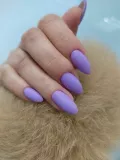 Миниатюра 10
