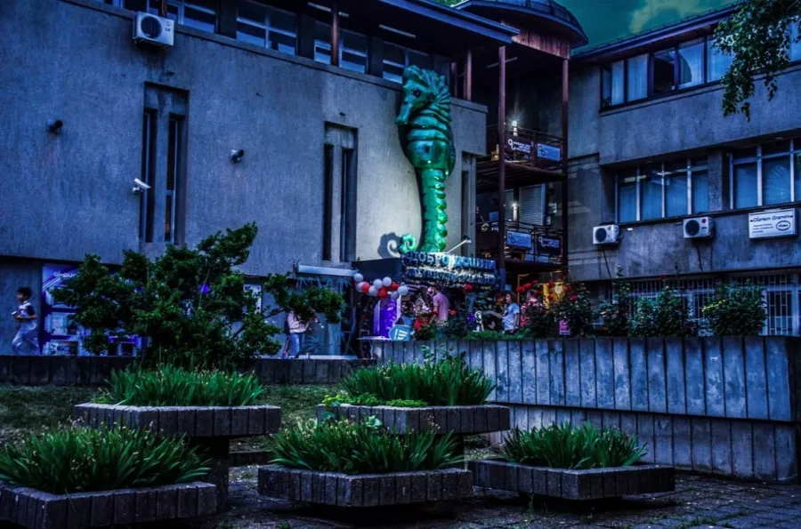 Public Aquarium and Tropicarium Belgrade в Белграде: Аквариум, Тропикарий, Рыбы, Растения,