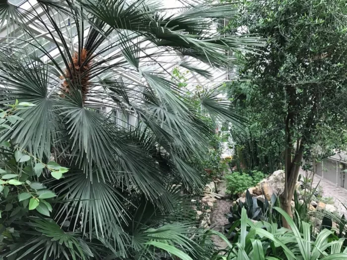 Jevremovac Botanical Garden  в  Белграде