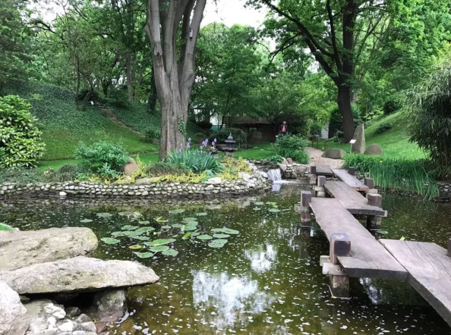 Jevremovac Botanical Garden в Белграде: Сад, Природа, Путешествие, Воздух,