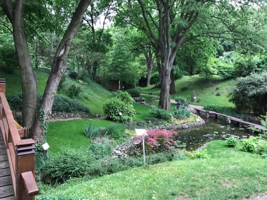 Jevremovac Botanical Garden в Белграде: Сад, Природа, Путешествие, Воздух,