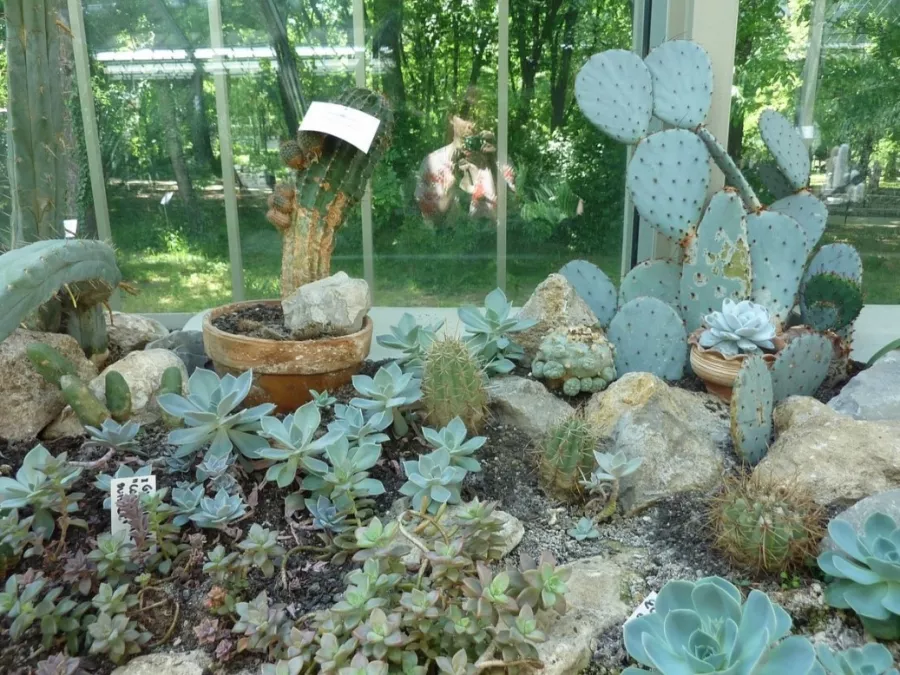 Jevremovac Botanical Garden в Белграде: Сад, Природа, Путешествие, Воздух,