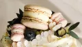 Миниатюра 18
