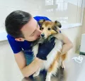 Миниатюра 10