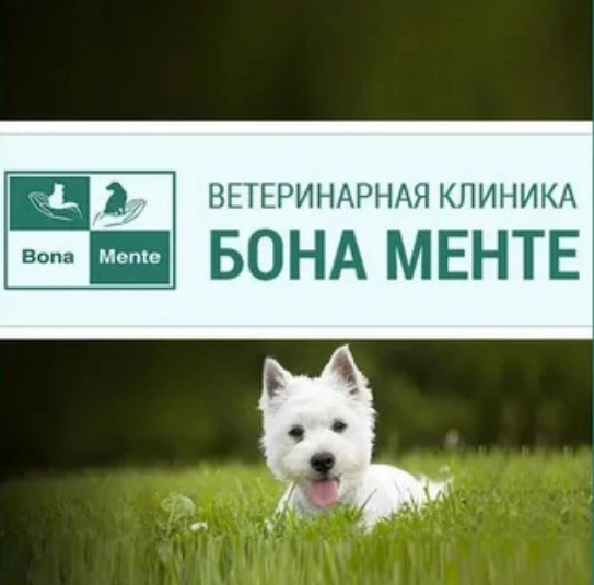 Ветеринарный центр Бона менте в Москве: Ратолог, Хирургия, Онлайн-услуги, Стрижка, Стерилизация , Чипирование, Стационар, УЗИ,