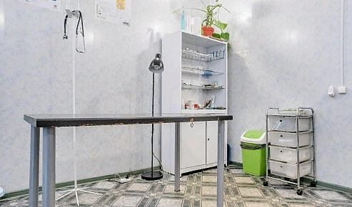 Ветеринарный центр Бона менте в Москве: Ратолог, Хирургия, Онлайн-услуги, Стрижка, Стерилизация , Чипирование, Стационар, УЗИ,