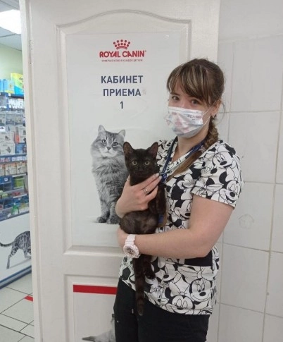 Ветеринарная клиника ЗооАкадемия в Москве: УЗИ, Рентген, Орнитолог, Стрижка, Оксигенотерапия, Стоматология,