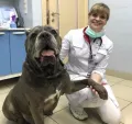 Миниатюра 9