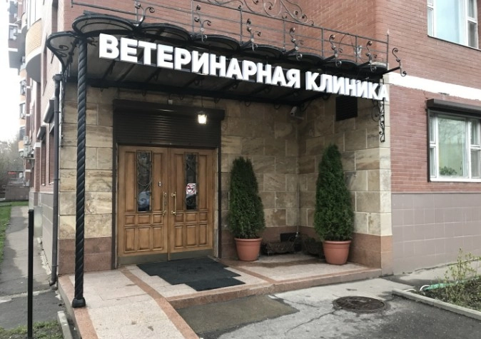 Ветеринарная клиника В добрые руки в Москве: УЗИ, Рентген, Онлайн-услуги, Вакцинация, Стрижка, Врач на дом, Груминг, Стационар,