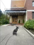 Миниатюра 13