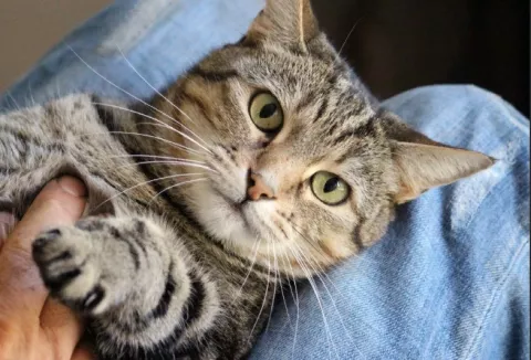 Фото 1