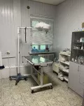 Миниатюра 8