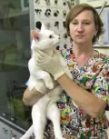 Миниатюра 11