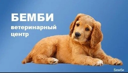 Ветеринарный центр Бемби  в  Москве