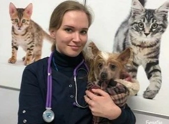 Ветеринарный центр Бемби в Москве: Хирургия, Онлайн-услуги, Вакцинация, УЗ - чистка зубов, Оксигенотерапия, Груминг, УЗИ,