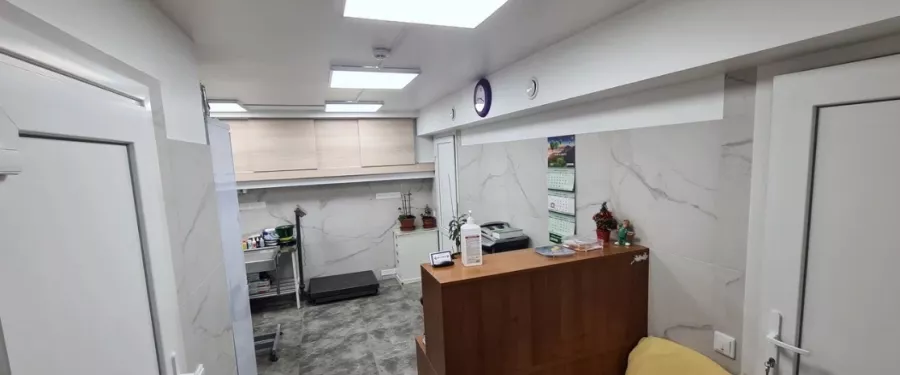 Ветеринарная клиника Вервет в Москве: Хирургия, Стрижка, Стерилизация , Выезд на дом, Стационар, Животные,