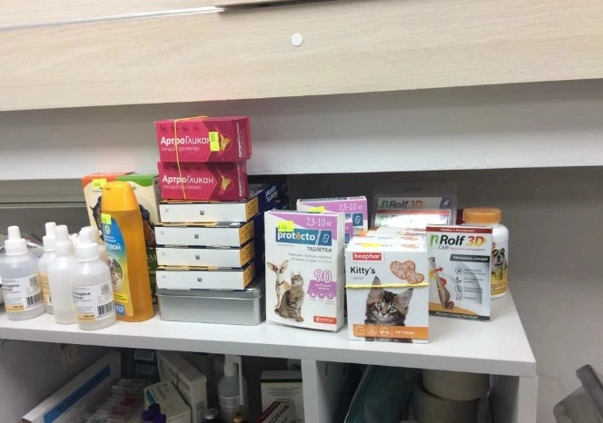 Ветеринарная клиника Вервет в Москве: Хирургия, Стрижка, Стерилизация , Выезд на дом, Стационар, Животные,