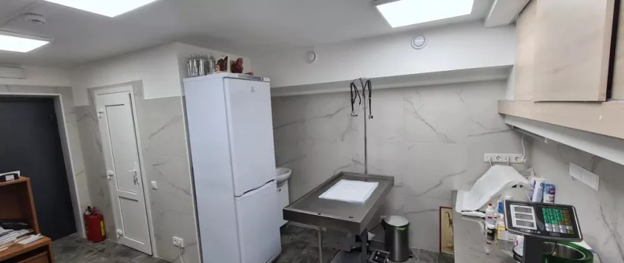 Ветеринарная клиника Вервет в Москве: Хирургия, Стрижка, Стерилизация , Выезд на дом, Стационар, Животные,