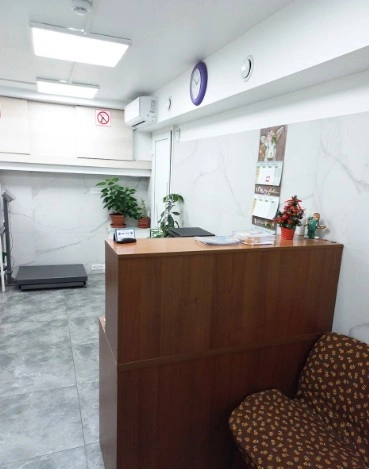 Ветеринарная клиника Вервет в Москве: Хирургия, Стрижка, Стерилизация , Выезд на дом, Стационар, Животные,