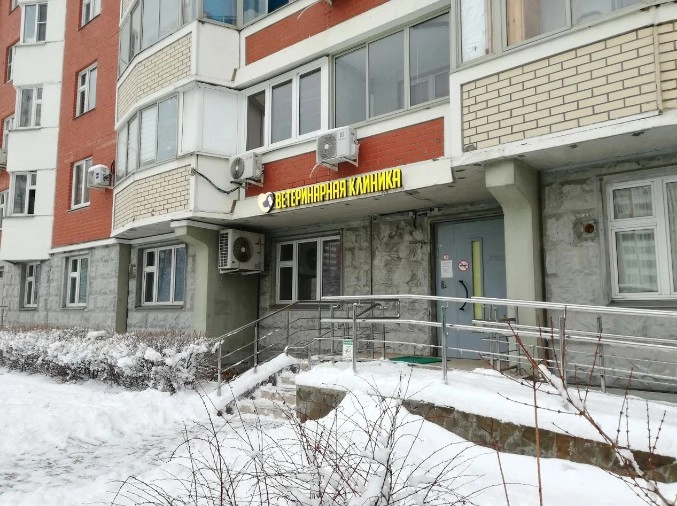 Ветеринарная клиника Доктор Шпицлен в Москве: Анализы, Хирургия, Рентген, Стрижка, Выездные службы, Оксигенотерапия, Груминг, Стационар,