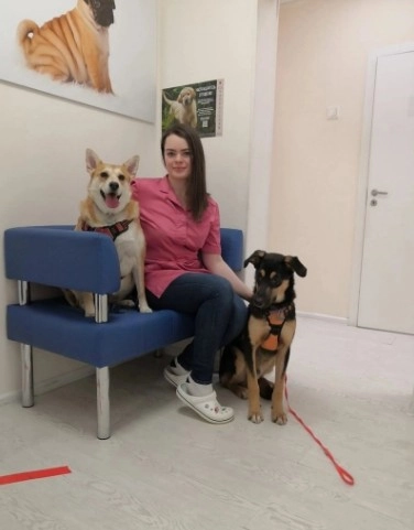 Ветеринарный центр PetsVet в Москве: УЗИ, Рентген, Гостиницы, Стрижка, Выездные службы, Стоматологические услуги, Оксигенотерапия, Стационар,