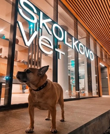 Ветеринарные клиники Skolkovo vet в Москве: УЗИ, Хирургия, Рентген, Вакцинация, Стерилизация , Чипирование,