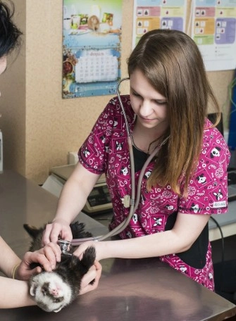 Ветеринарный центр Созвездие в Москве: УЗИ, Рентген, Орнитолог, Вакцинация, Стерилизация , Хирургия, Стоматология,