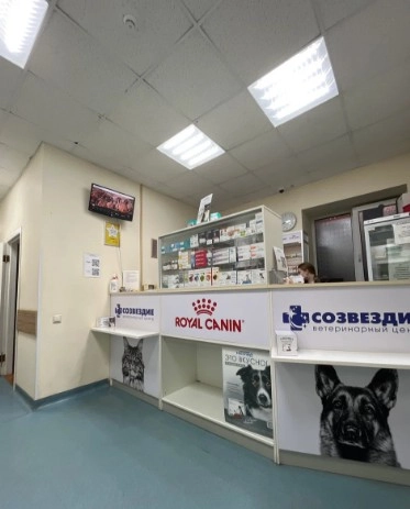 Ветеринарный центр Созвездие в Москве: УЗИ, Рентген, Орнитолог, Вакцинация, Стерилизация , Хирургия, Стоматология,