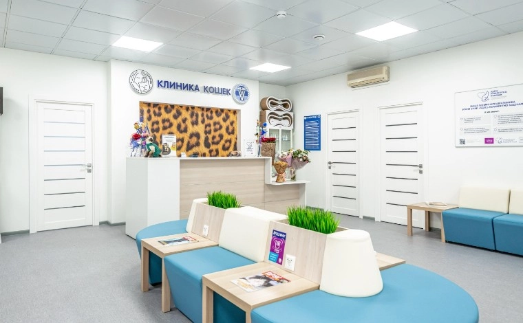 Ветеринарная клиника для кошек Клиника Кошек в Москве: УЗИ, Рентген, Орнитолог, Вакцинация, Стоматология, Оксигенотерапия, Неврология,