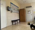 Миниатюра 7