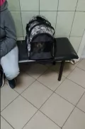 Миниатюра 8