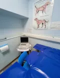 Миниатюра 11