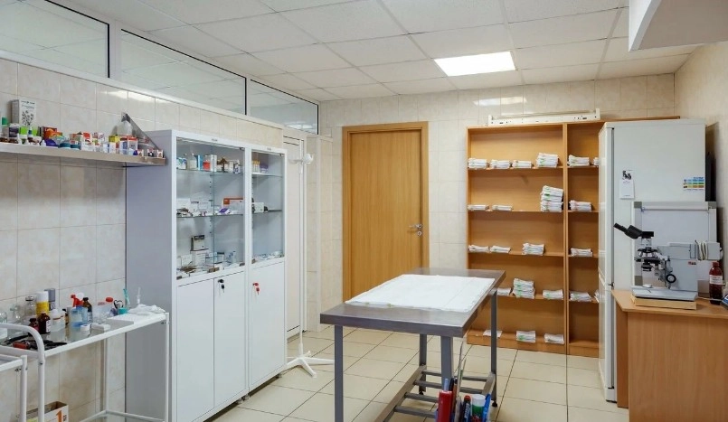 Ветеринарная клиника Котофеич в Москве: Анализы, Рентген, Вакцинация, Стерилизация , Стоматология,