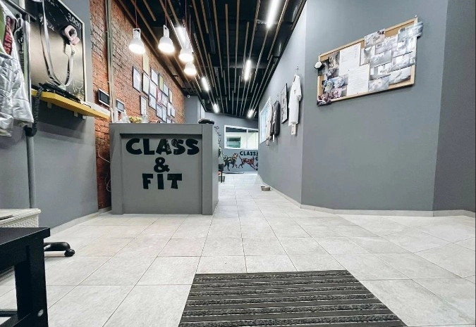 Клуб для собак Class&Fit в Москве: Плавание, Стрижка, Фитнес, Дрессировка, Массаж, Груминг,