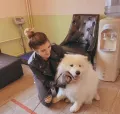 Миниатюра 3