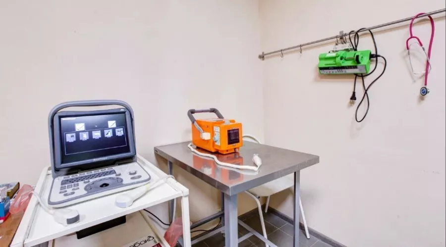 Ветеринарная клиника Тим в Москве: Хирургия, Орнитолог, Стрижка, Животные,