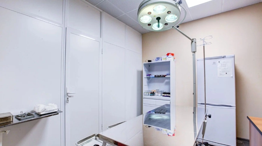 Ветеринарная клиника Тим в Москве: Хирургия, Орнитолог, Стрижка, Животные,