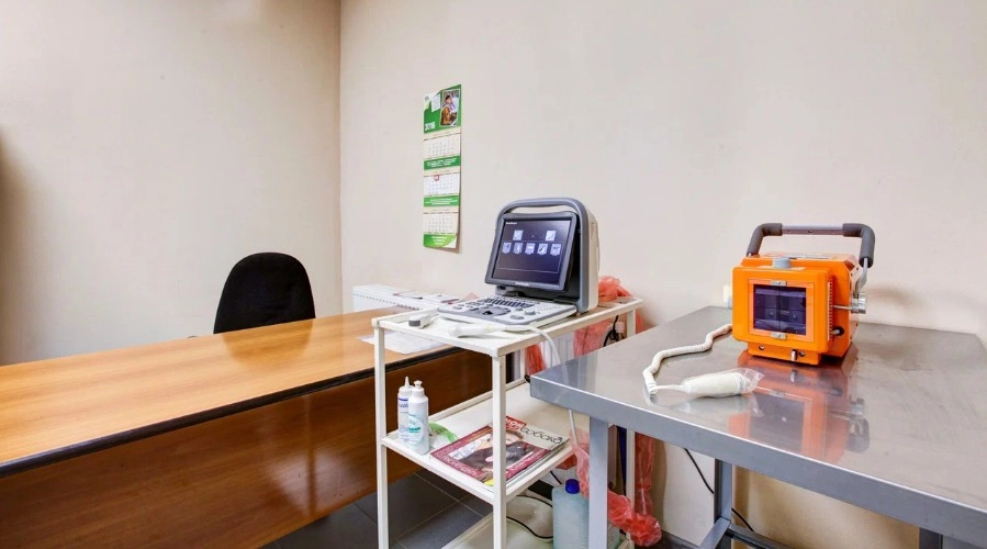 Ветеринарная клиника Тим в Москве: Хирургия, Орнитолог, Стрижка, Животные,